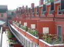 0_3238105_96276.jpg